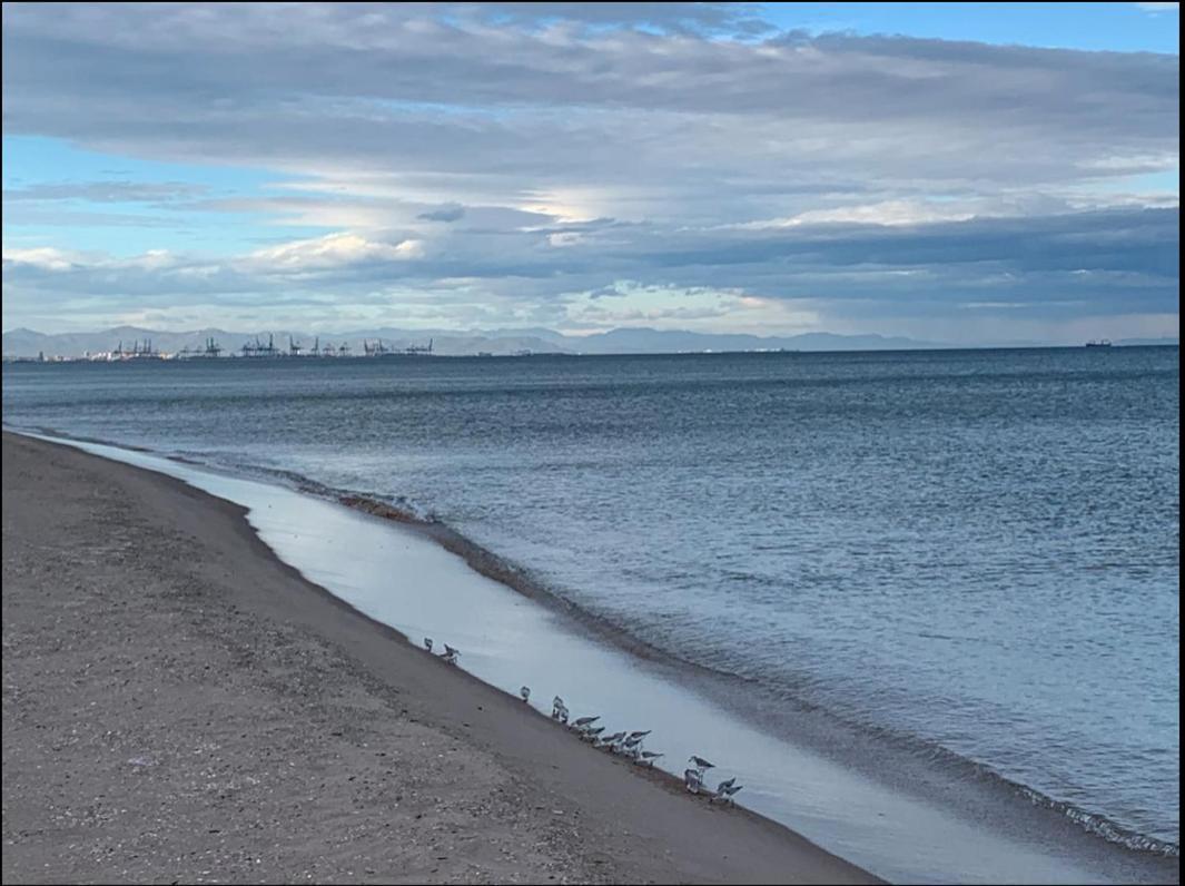Beach Retreat Валенсия Экстерьер фото